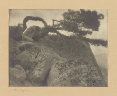 The Lone Pine by Anne W. Brigman
